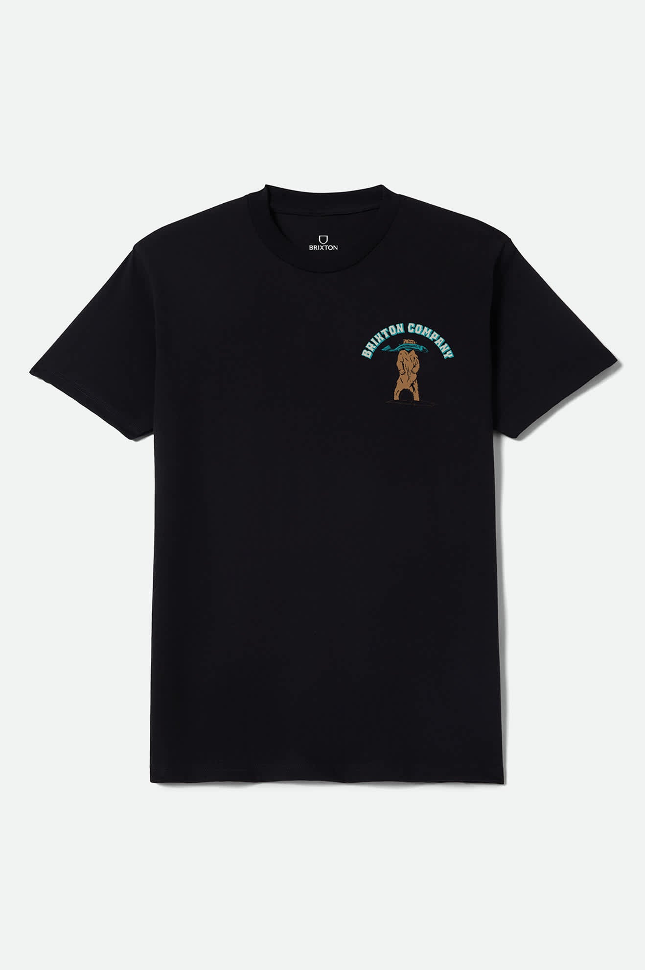 Men's Provisions Standard T-Shirt in the color Black - Front Product View