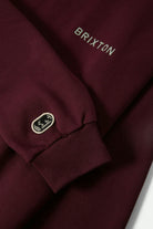 Men's Embroidered Heavyweight Oversized Crew in the color Port - Additional Laydown image