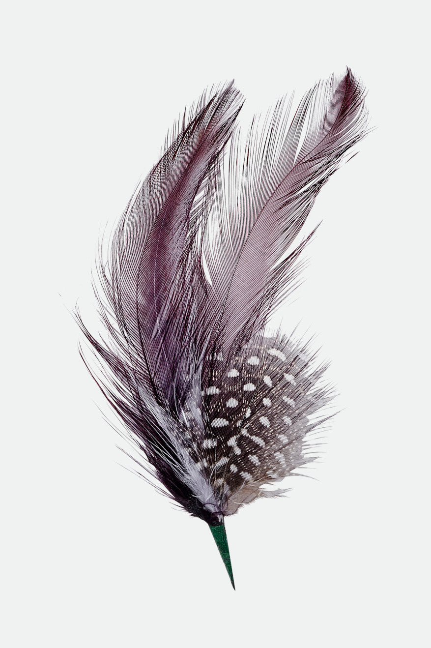 Brixton Unisex Brixton Hat Feather - Burnt Henna/Black | Main